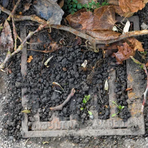 Blocked Drains by Sink and Drain